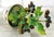 Didier Gardillou – Porcelain Blackcurrant Bush in an 18th-Century Holder by the Manufacture À La Reine For Sale - Image 6 of 7