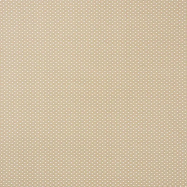 Schumacher X Studio Bon Queen B Ii Fabric in Sand For Sale