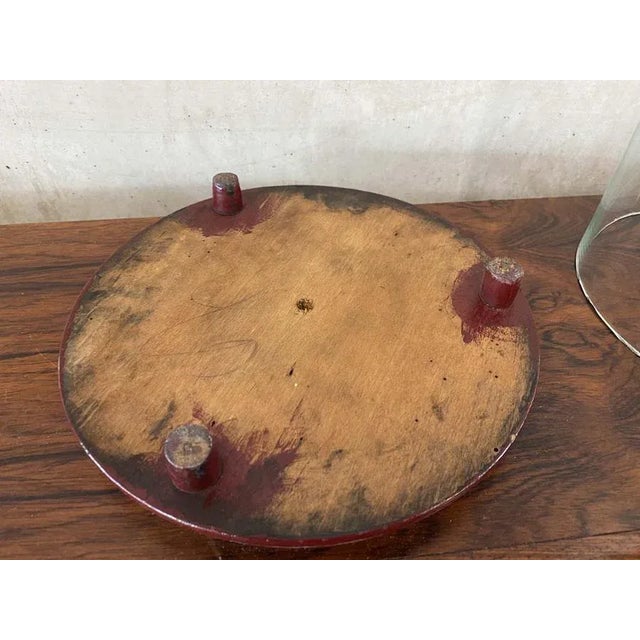 Big Glass Cover, 1900s For Sale - Image 12 of 13