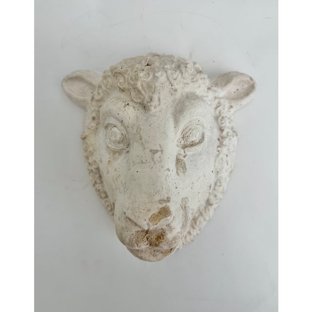 Mid-Century French Sheep Head Wall Plaque For Sale - Image 4 of 5