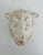 Mid-Century French Sheep Head Wall Plaque For Sale - Image 4 of 5