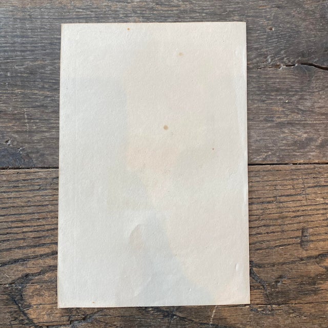 18th Century French Antique 18th Century "Le Alpace" Animal Engraving Hand Colored Artwork For Sale - Image 5 of 5