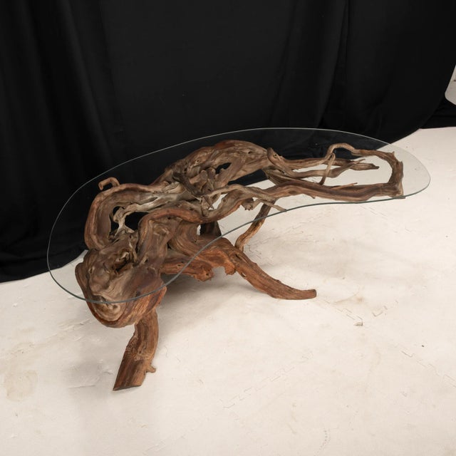 Mid-Century Organic Modern 1960s Driftwood Coffee Table Original Biomorphic Kidney Glass Top For Sale - Image 4 of 16