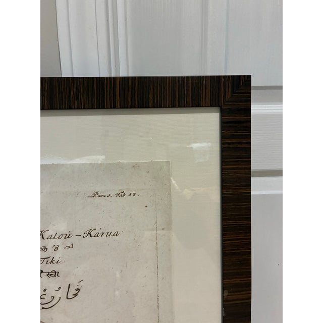 Natural Curiosities “Katou-Karua” Hortus Malabaricus Botanical Print, Framed For Sale - Image 4 of 7