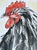 Original Watercolor Ink and Wash Painting “Little Black Hen” For Sale - Image 4 of 5