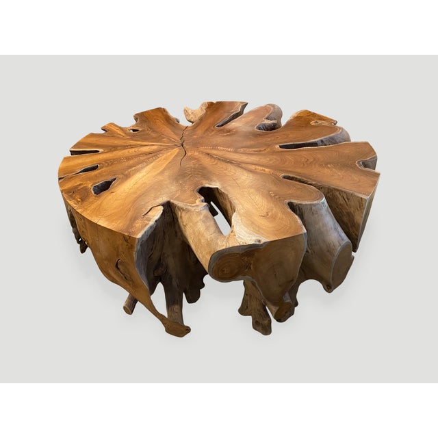 Contemporary Andrianna Shamaris Organic Teak Wood Round Coffee Table For Sale - Image 3 of 18