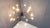 Spectacular 18 lightpoint sputnik chandelier. The chandelier creates a stunning light effect. Tested and ready for use. To...