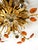 Gold-Plated Ceiling Lamp by Banci Firenze, Italy, 1960s For Sale - Image 17 of 18