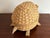 1980s Vintage Coastal Wicker Turtle Basket For Sale - Image 6 of 8