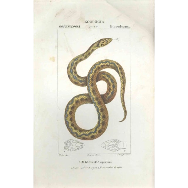 Pierre Jean François Turpin, Colubro, Etching, 1831 For Sale - Image 3 of 3