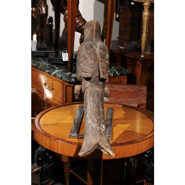 Wood Pair of Italian Carved Wooden Parrots circa 1880, Mounted on Modern Steel Bases For Sale - Image 7 of 11