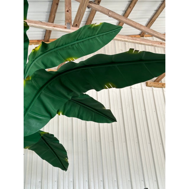 Monumental Coastal Tropical Green Banana Canvas Tree For Sale - Image 9 of 13