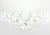 American 1950s Libbey “Colonial Heritage” Coupe Champagne Glasses - Set of 7 For Sale - Image 3 of 5