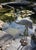 Light Gray Vintage Cast Iron Crane Garden Statue For Sale - Image 8 of 12