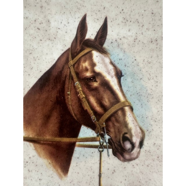 Porcelain Equestrian Tray/Plate With Hand-Painted Horse Portraits For Sale - Image 4 of 5