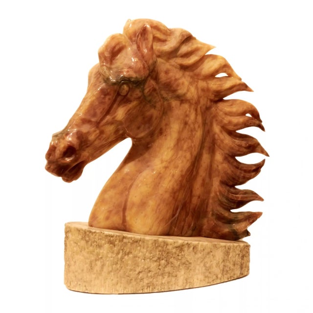 Horse head on a pedestal. A heroic portrait of a horse, with a proudly arched neck, a developing mane and open nostrils....