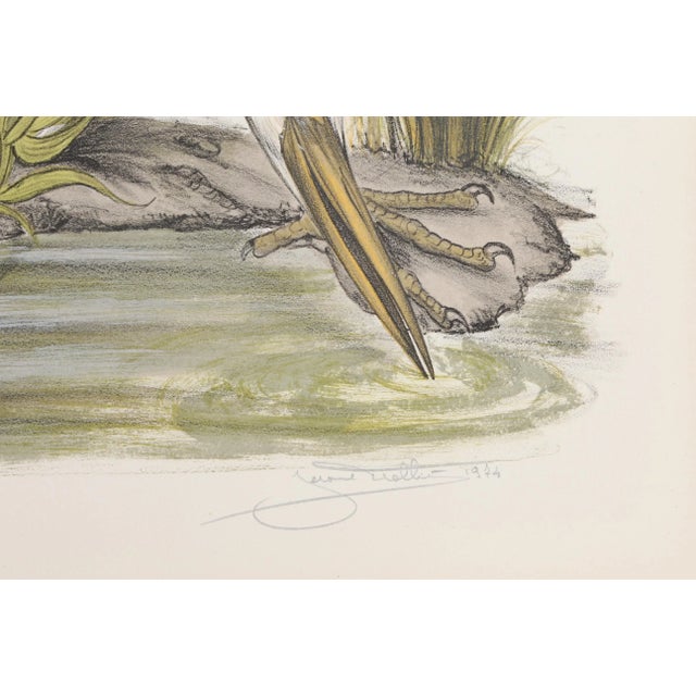 Realist lithograph of a tall Heron stooping down and taking a drink from a cool pond by artist Jerome Trolliet. Date: 1974...