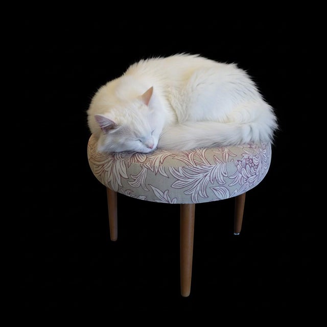 Round Stool in Chrysanthemum Toile from Morris & Co, 1960s For Sale - Image 12 of 13