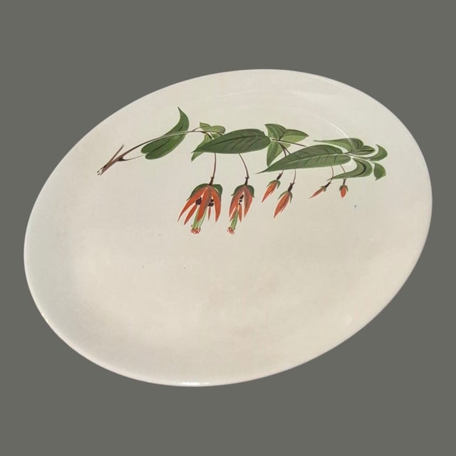 Mid 20th Century Vintage Four Salem u.s.a Floral Primrose Fuchsia Dinner Plates For Sale - Image 5 of 8