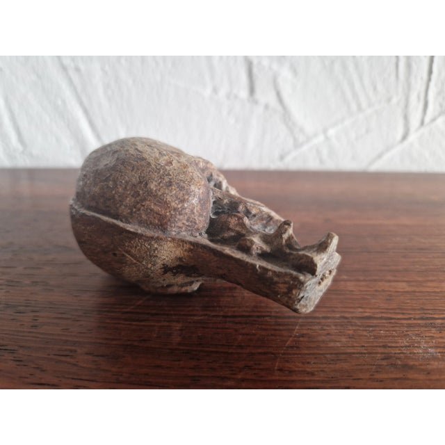 Memento Mori Sculpture, 19th Century For Sale - Image 5 of 6
