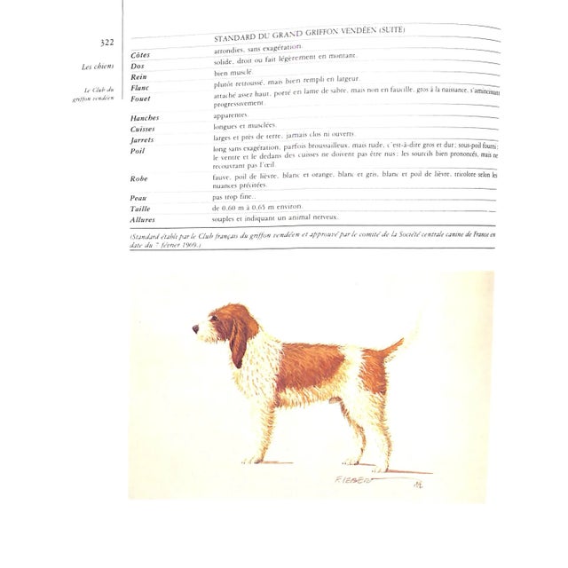 "Venerie Aujourd'hui" 1982 Bouessee, Joel For Sale In New York - Image 6 of 13