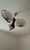 French Art Deco Pendant, 1930s For Sale - Image 3 of 6