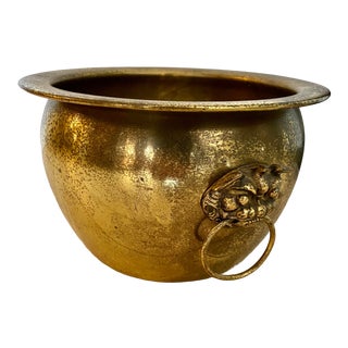 Brass Foo Dog Jardiniere For Sale