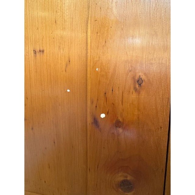 Ningbo Cypress Wood Cabinet, 19th Century For Sale - Image 12 of 13