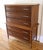 Andre Bus Mid Century Modern Lane Acclaim Tall Dresser by Andre Bus For Sale - Image 4 of 7