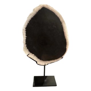 Andrianna Shamaris Minimalist Petrified Wood on Stand For Sale