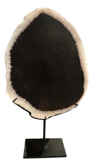 Andrianna Shamaris Minimalist Petrified Wood on Stand