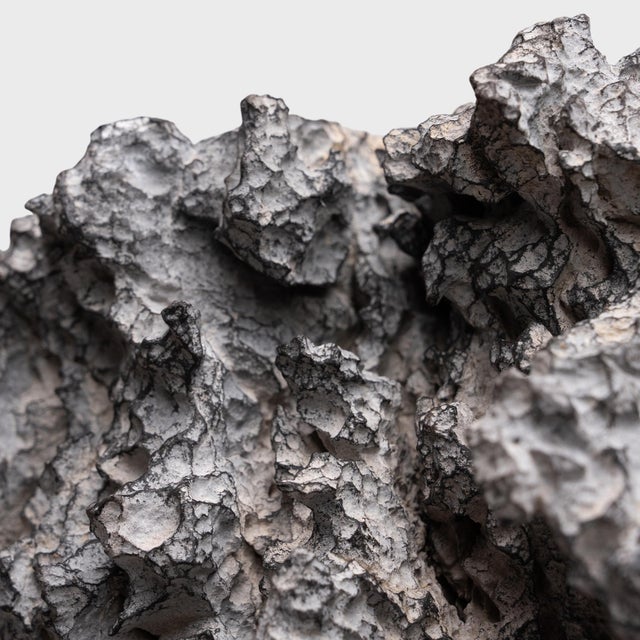 2020s "Resting Phoenix" Lingbi Scholar's Rock For Sale - Image 5 of 5