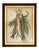 A charming pair of antique hunt trophy prints. Each features a stylized group of hanging fish, “The Day’s Catch”. Embossed...