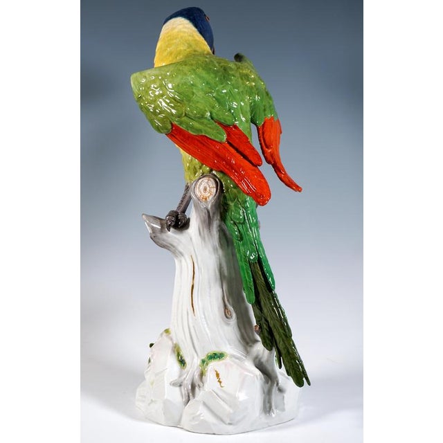 Large Parrot on a Tree Trunk by J.J. Kaendler for Meissen, 1860 For Sale - Image 5 of 9