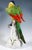 Large Parrot on a Tree Trunk by J.J. Kaendler for Meissen, 1860 For Sale - Image 5 of 9