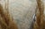 1970s Vintage Persian Handmade Wool Cotton Beige Area Rug For Sale - Image 4 of 11