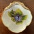 Derby Porcelain Antique 18th Century English George III Derby Porcelain Botanical Shell Shape Dish Plate Painted by William Quaker Pegg For Sale - Image 4 of 8