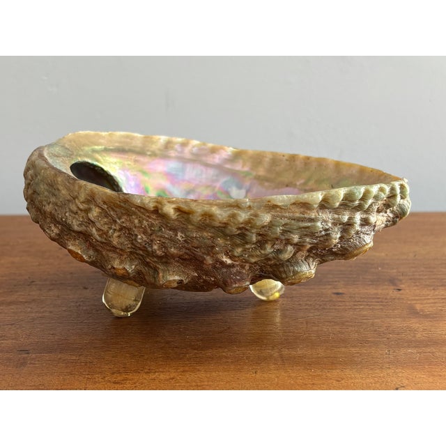 1980s Natural Abalone Shell Bowl on Acrylic Feet For Sale - Image 6 of 6
