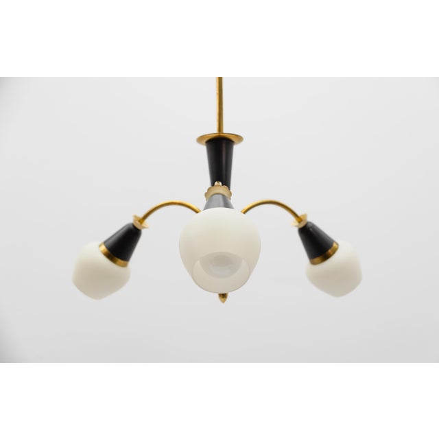 1950s Mid-Century Modern Brass 3-Armed Sputnik Lamp, 1950s For Sale - Image 5 of 13
