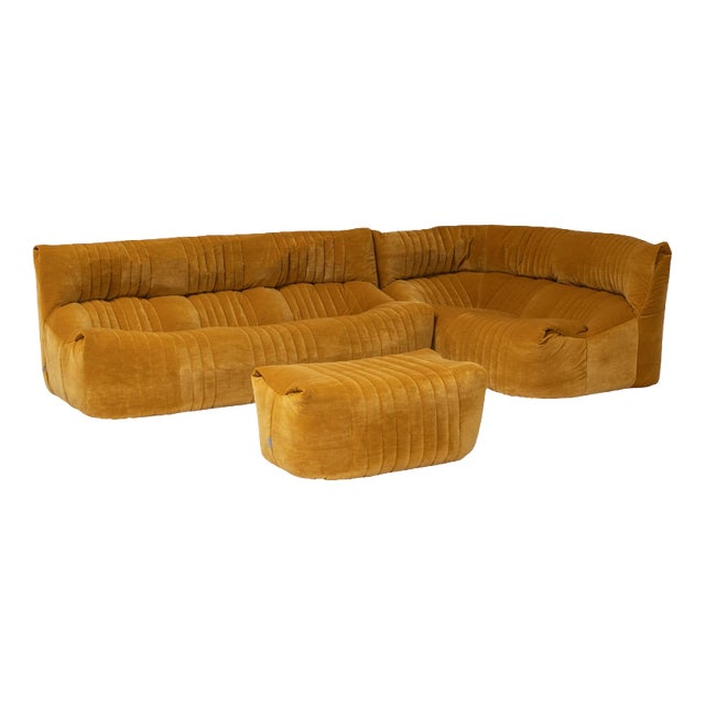 Aralia Modular Sofa by Michel Ducaroy for Ligne Roset, France, 1970s, Set of 3 For Sale