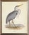Heron in Distressed Metallic Frame 19x23 For Sale