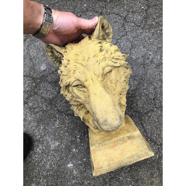 English Cast Stone Wolf Head Bust For Sale - Image 12 of 17