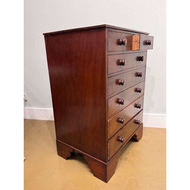 Brown 19th Century Chest of Drawers With Botanical Species For Sale - Image 8 of 11
