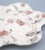 19th Century English Adderley Floral Oyster Plate For Sale - Image 4 of 5
