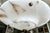 Large French Directoire Style Alabaster Pendant Chandelier For Sale - Image 15 of 17