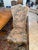 Century Furniture 9-Piece "Casa Collection" Dining Set - Table & 8 Verona Chairs For Sale - Image 10 of 15