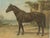 Otto Eerelman, Australian Horse, 1898, Chromolithograph For Sale