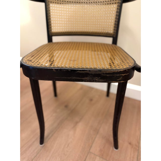 1960s Vintage Thonet Style Prague 811 Bentwood Cane Armchair | Made in Czechoslovakia | Mid Century Modern For Sale - Image 5 of 9