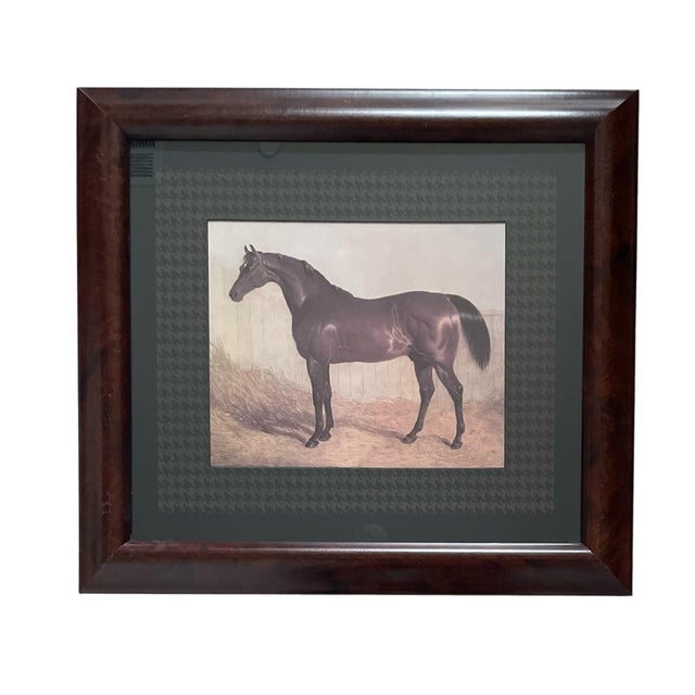 English 4 Vintage Thoroughbred Equestrian Horse Prints Framed & Matted 18.5"h X 20.5" W For Sale - Image 3 of 9