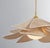Coastal Hudson Valley Lighting Florina 44 in. 1 Light Pendant in Aged Brass Finish For Sale - Image 3 of 5
